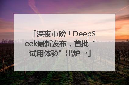 深夜重磅！DeepSeek最新发布，首批“试用体验”出炉→