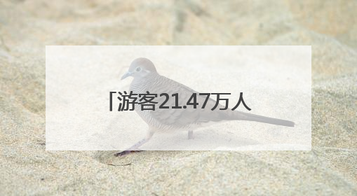 游客21.47万人次、旅游综合收入1.5亿元！栾川端午节实力出“粽”！