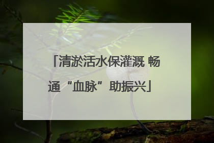 清淤活水保灌溉 畅通“血脉”助振兴