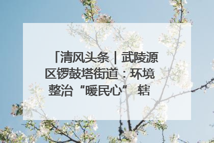 清风头条｜武陵源区锣鼓塔街道：环境整治“暖民心” 辖区面貌“靓”起来