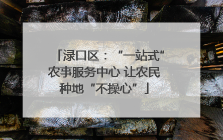 渌口区：“一站式”农事服务中心 让农民种地“不操心”