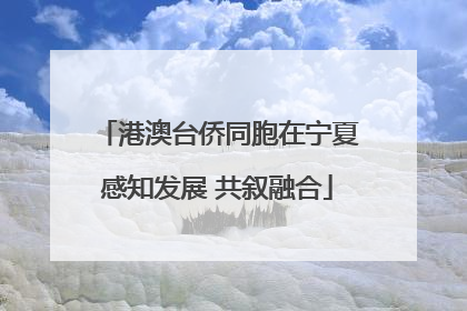 港澳台侨同胞在宁夏感知发展 共叙融合