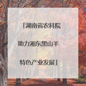 湖南省农科院助力湘东黑山羊特色产业发展