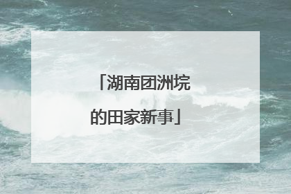 湖南团洲垸的田家新事