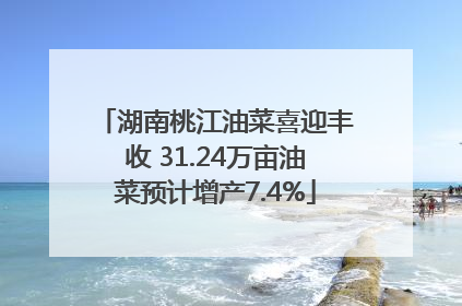 湖南桃江油菜喜迎丰收 31.24万亩油菜预计增产7.4%