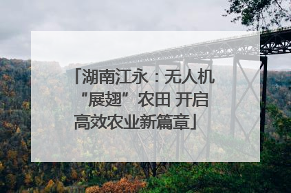 湖南江永：无人机“展翅”农田 开启高效农业新篇章