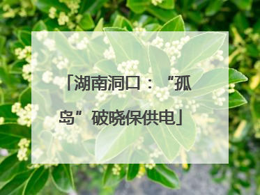 湖南洞口：“孤岛”破晓保供电