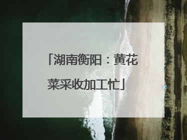 湖南衡阳：黄花菜采收加工忙