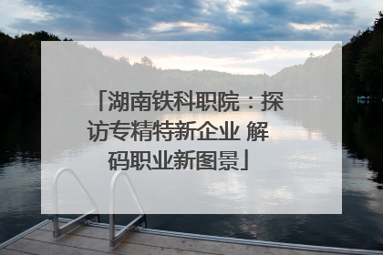 湖南铁科职院：探访专精特新企业 解码职业新图景