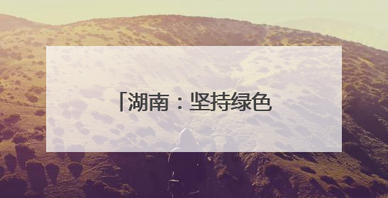 湖南：坚持绿色低碳发展 构建现代化产业体系