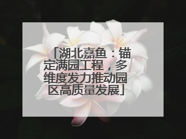 湖北嘉鱼：锚定满园工程，多维度发力推动园区高质量发展