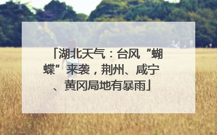 湖北天气：台风“蝴蝶”来袭，荆州、咸宁、黄冈局地有暴雨