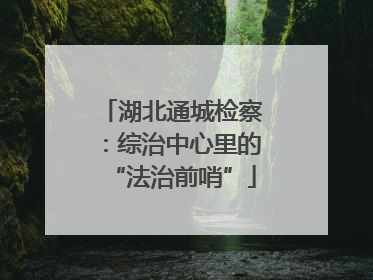 湖北通城检察：综治中心里的“法治前哨”