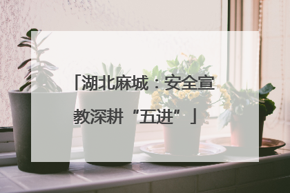 湖北麻城：安全宣教深耕“五进”