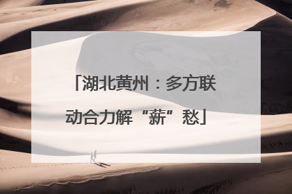 湖北黄州：多方联动合力解“薪”愁