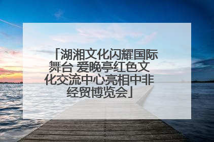 湖湘文化闪耀国际舞台 爱晚亭红色文化交流中心亮相中非经贸博览会