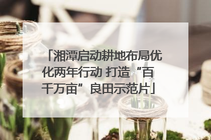 湘潭启动耕地布局优化两年行动 打造“百千万亩”良田示范片