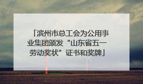 滨州市总工会为公用事业集团颁发“山东省五一劳动奖状”证书和奖牌