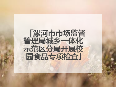 漯河市市场监督管理局城乡一体化示范区分局开展校园食品专项检查