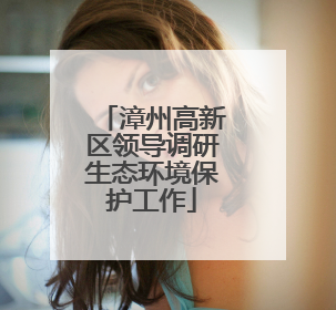 漳州高新区领导调研生态环境保护工作