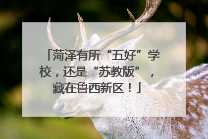 菏泽有所“五好”学校，还是“苏教版”，藏在鲁西新区！