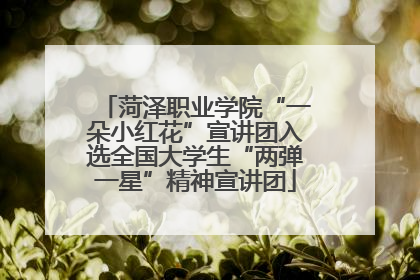 菏泽职业学院“一朵小红花”宣讲团入选全国大学生“两弹一星”精神宣讲团