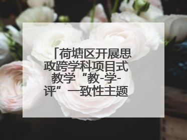 荷塘区开展思政跨学科项目式教学“教-学-评”一致性主题课例研讨活动