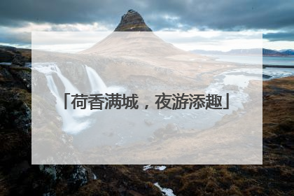 荷香满城，夜游添趣