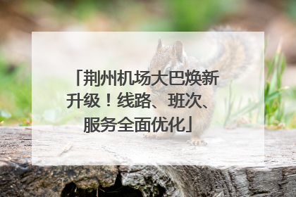 荆州机场大巴焕新升级！线路、班次、服务全面优化