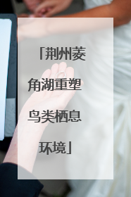 荆州菱角湖重塑鸟类栖息环境