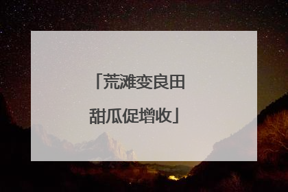 荒滩变良田 甜瓜促增收