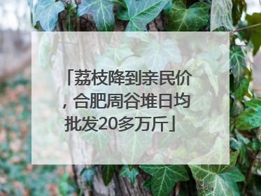 荔枝降到亲民价，合肥周谷堆日均批发20多万斤
