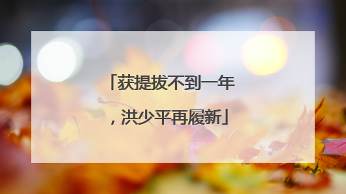 获提拔不到一年，洪少平再履新