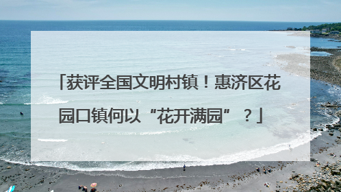 获评全国文明村镇！惠济区花园口镇何以“花开满园”？