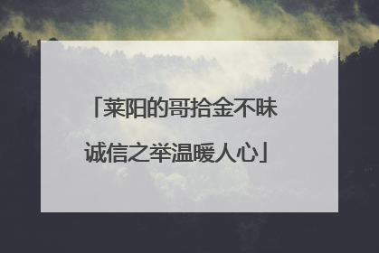莱阳的哥拾金不昧 诚信之举温暖人心