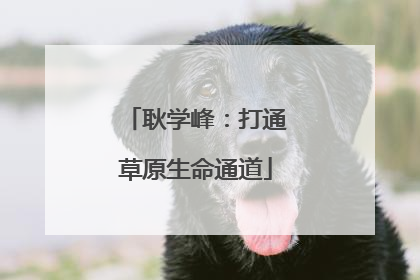 耿学峰：打通草原生命通道