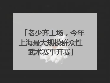 老少齐上场，今年上海最大规模群众性武术赛事开赛