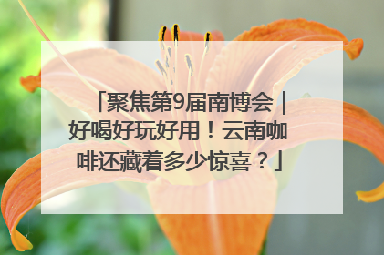 聚焦第9届南博会｜好喝好玩好用！云南咖啡还藏着多少惊喜？