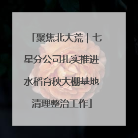 聚焦北大荒｜七星分公司扎实推进水稻育秧大棚基地清理整治工作