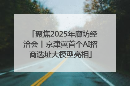 聚焦2025年廊坊经洽会丨京津冀首个AI招商选址大模型亮相