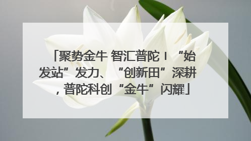 聚势金牛 智汇普陀〡“始发站”发力、“创新田”深耕，普陀科创“金牛”闪耀