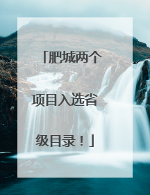 肥城两个项目入选省级目录！