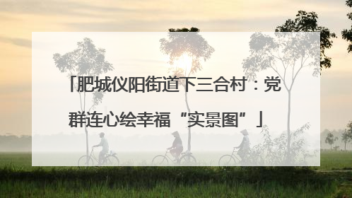 肥城仪阳街道下三合村：党群连心绘幸福“实景图”
