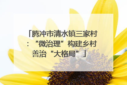 腾冲市清水镇三家村：“微治理”构建乡村善治“大格局”