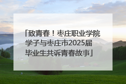 致青春！枣庄职业学院学子与枣庄市2025届毕业生共诉青春故事