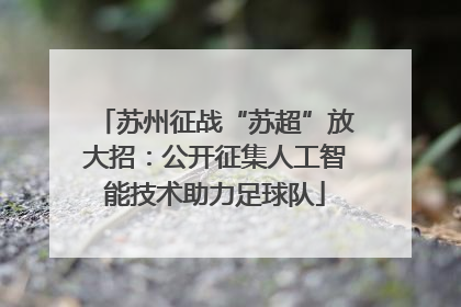 苏州征战“苏超”放大招：公开征集人工智能技术助力足球队