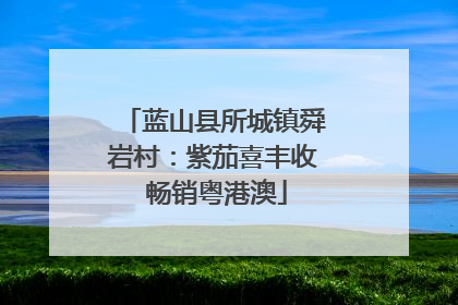 蓝山县所城镇舜岩村：紫茄喜丰收 畅销粤港澳