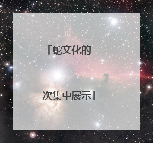 蛇文化的一次集中展示