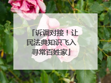 诉调对接！让民法典知识飞入寻常百姓家