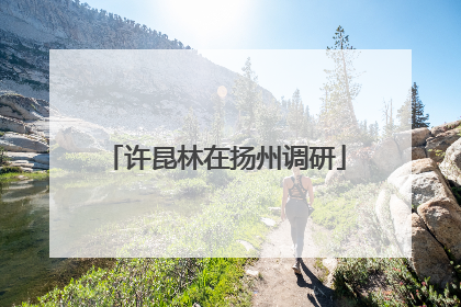 许昆林在扬州调研